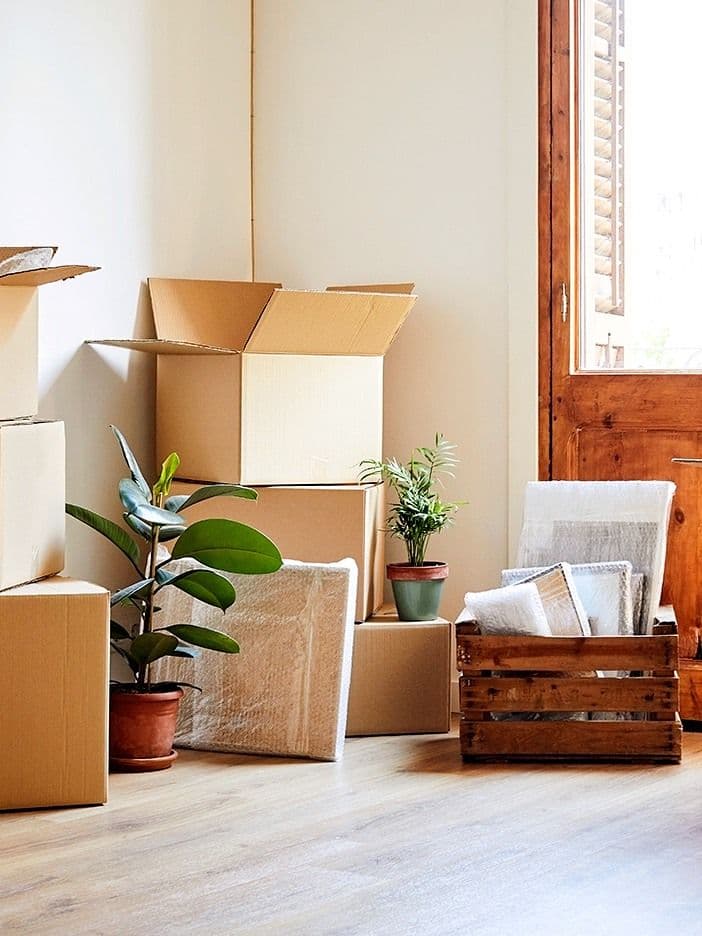 Cajas de mudanza y plantas en un departamento